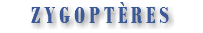 ZYGOPTÈRES 
