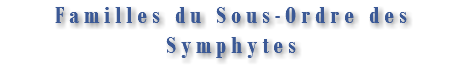 Familles du Sous-Ordre des Symphytes