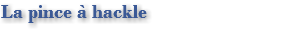 La pince à hackle 
