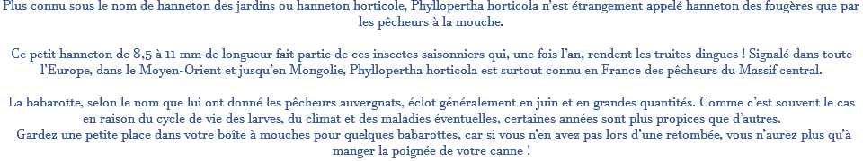 Plus connu sous le nom de hanneton des jardins ou hanneton horticole, Phyllopertha horticola n’est étrangement appelé hanneton des fougères que par les pêcheurs à la mouche. Ce petit hanneton de 8,5 à 11 mm de longueur fait partie de ces insectes saisonniers qui, une fois l’an, rendent les truites dingues ! Signalé dans toute l’Europe, dans le Moyen-Orient et jusqu’en Mongolie, Phyllopertha horticola est surtout connu en France des pêcheurs du Massif central. La babarotte, selon le nom que lui ont donné les pêcheurs auvergnats, éclot généralement en juin et en grandes quantités. Comme c’est souvent le cas en raison du cycle de vie des larves, du climat et des maladies éventuelles, certaines années sont plus propices que d’autres. Gardez une petite place dans votre boîte à mouches pour quelques babarottes, car si vous n’en avez pas lors d’une retombée, vous n’aurez plus qu’à manger la poignée de votre canne ! 