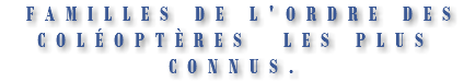 &nbsp;FAMILLES DE L'ORDRE DES COLÉOPTÈRES LES PLUS CONNUS.